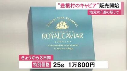 チョウザメの養殖に取り組む…愛知県豊根村の新たな特産品『キャビア』の販売開始 25gで1万800円の特別価格