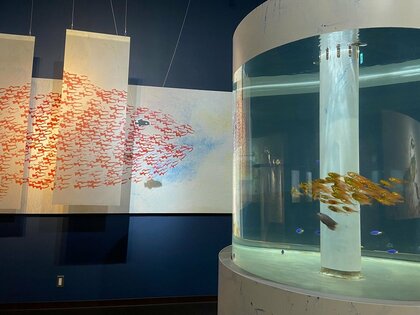 まさにスイミーの世界！小さな魚の群れが1匹の大きな魚となった“奇跡の