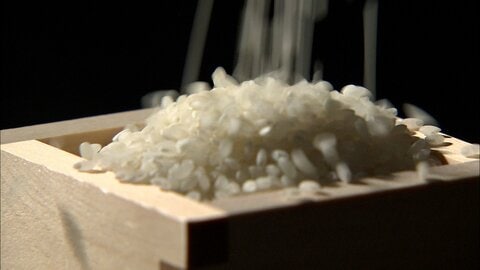 「安い！」ブランド米が税抜き5㎏2000円台　一方まだ高止まりのコメも　専門家「決算で安くしても在庫処理したい動き」