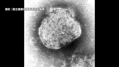 「予防接種が鍵」鹿児島で今年4例目のはしか確認　感染力はインフルの倍以上