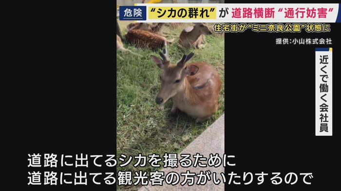 交通の安全にも影響