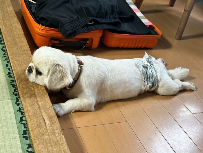 こちらも旅館での一枚