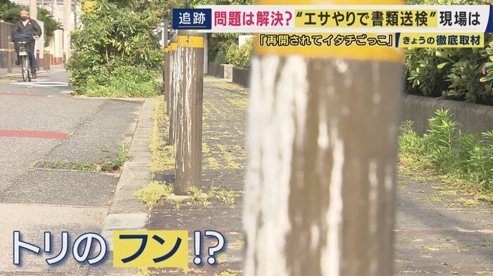 ポールにはフンとみられるものも