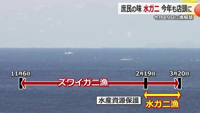 ズワイガニの漁期