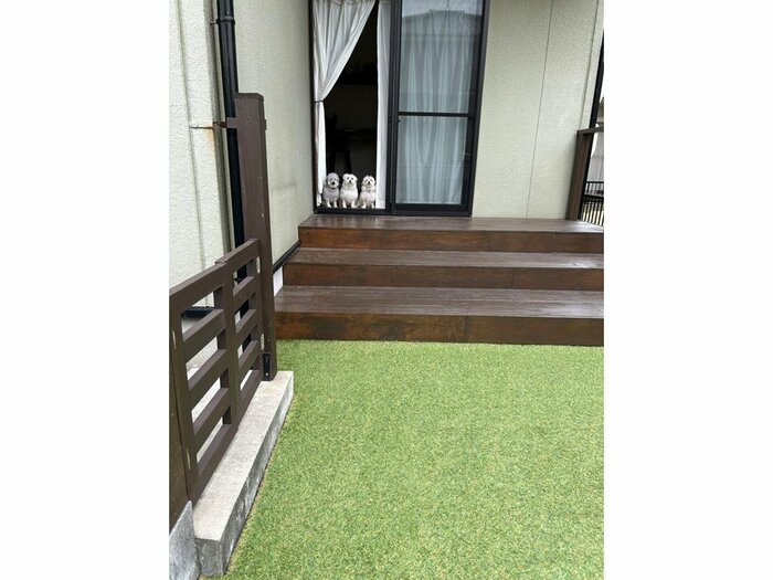 (画像:飼い主さん提供)