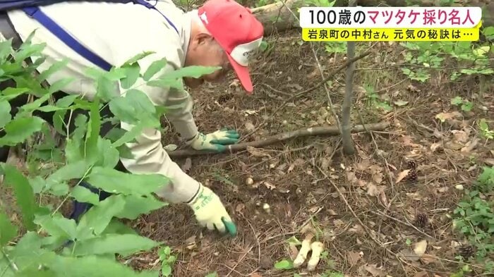 マツタケ発見!