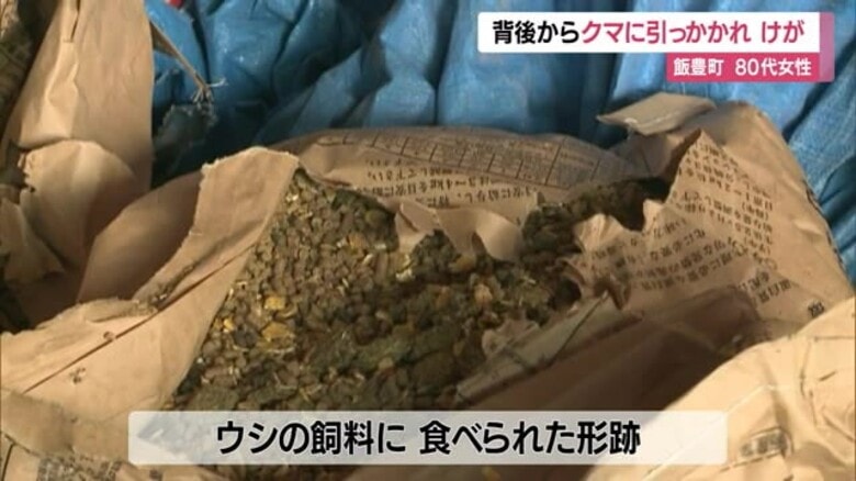 ＜クマ出没＞背後から襲われ背中に爪跡くっきり・80代女性　牛舎の飼料食い荒らされる　山形・飯豊町椿｜FNNプライムオンライン