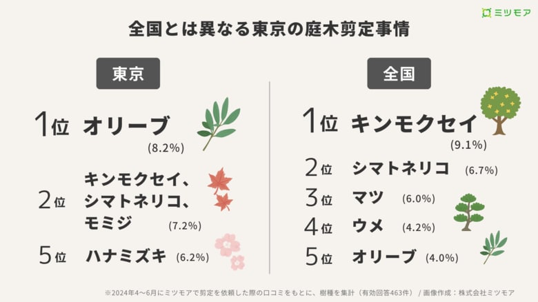 東京はオリーブが全国傾向を覆し1位に!春の庭木剪定ランキング【4~6月全国口コミ調査】