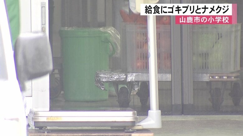 小学校の給食にゴキブリやナメクジの死骸混入　健康被害の報告なし　2年前にも虫が混入の熊本・山鹿市の小学校｜FNNプライムオンライン