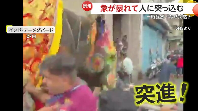 象が“豹変”して暴走　人めがけて突撃＆バリケード破壊　集まった数千人が一時騒然…原因は音楽と笛の音か　インド｜FNNプライムオンライン