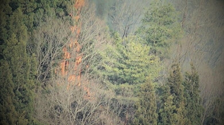 屋外での火の使用控えて！新潟県内１７市町村で“林野火災注意報” 空気の乾燥した状態続く｜FNNプライムオンライン