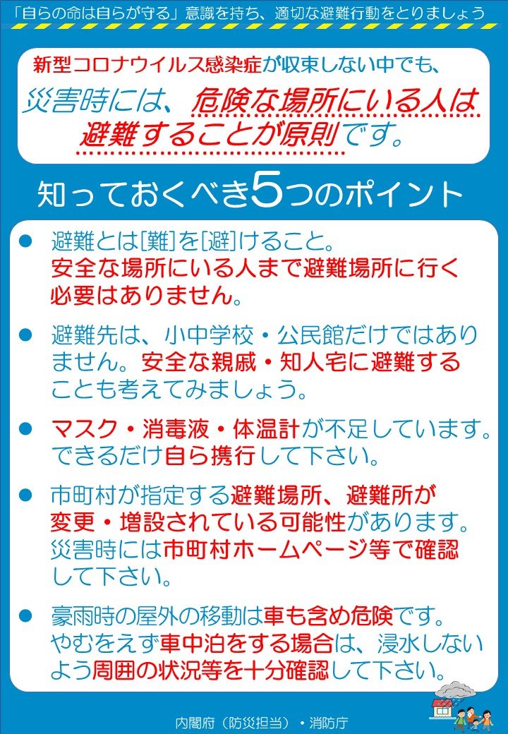 内閣府のチラシ