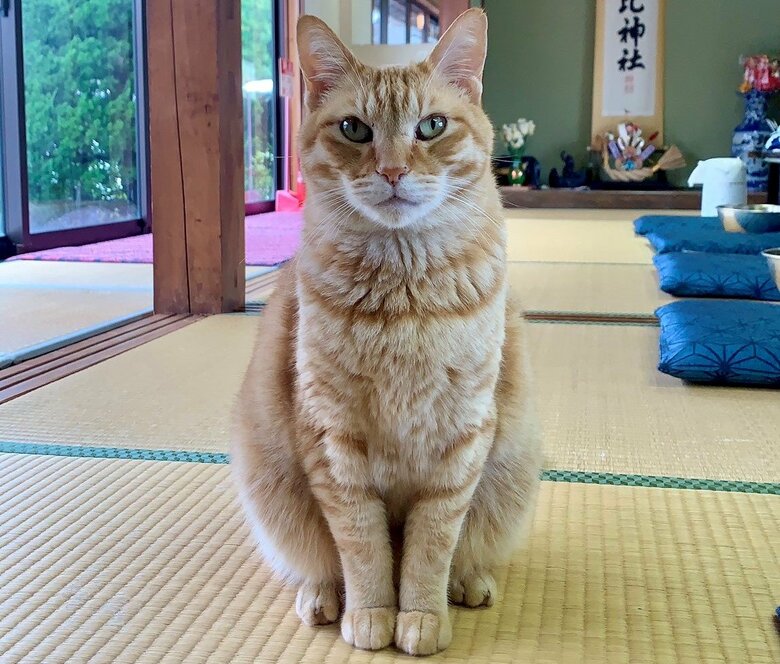こちらがボンくん