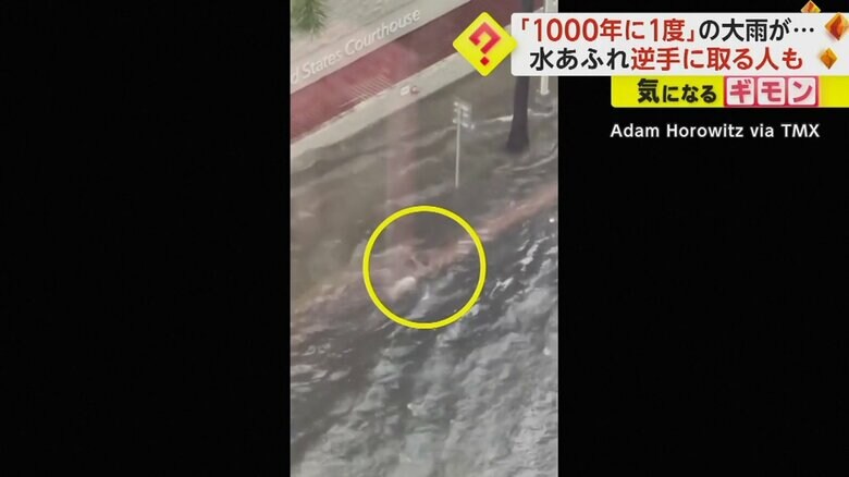 水没した道路を泳ぐ人