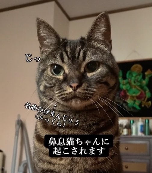 口元のもっちりした部分、通称“ひげまんじゅう”がチャームポイント