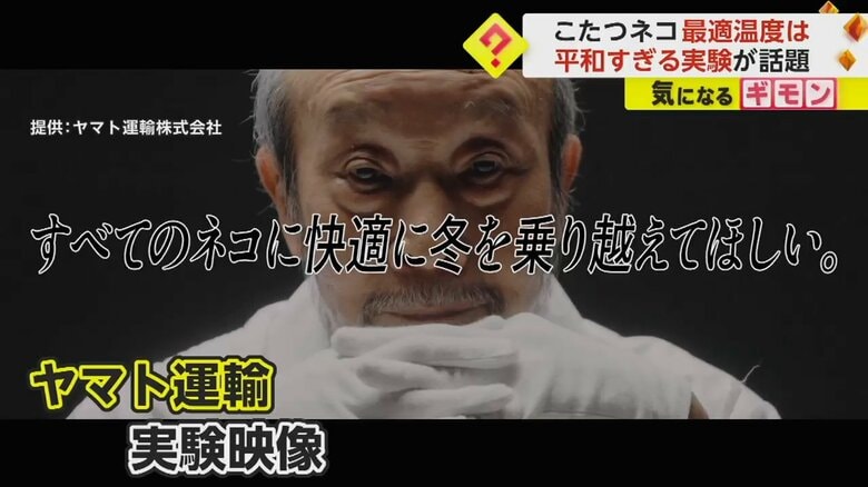 ヤマト運輸が公開した実験映像