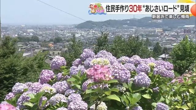 訪れた人が驚くほどの規模と歴史