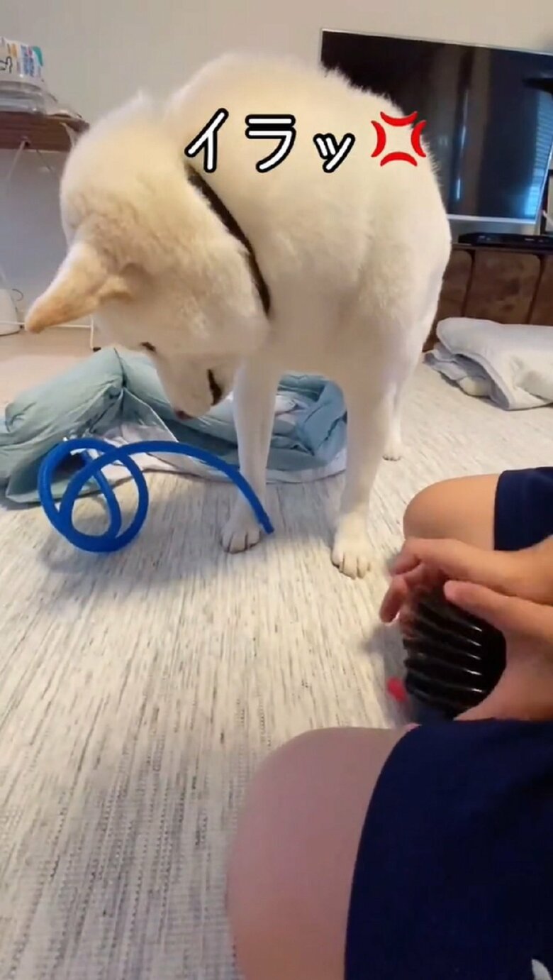 外れたホースを見つめ…