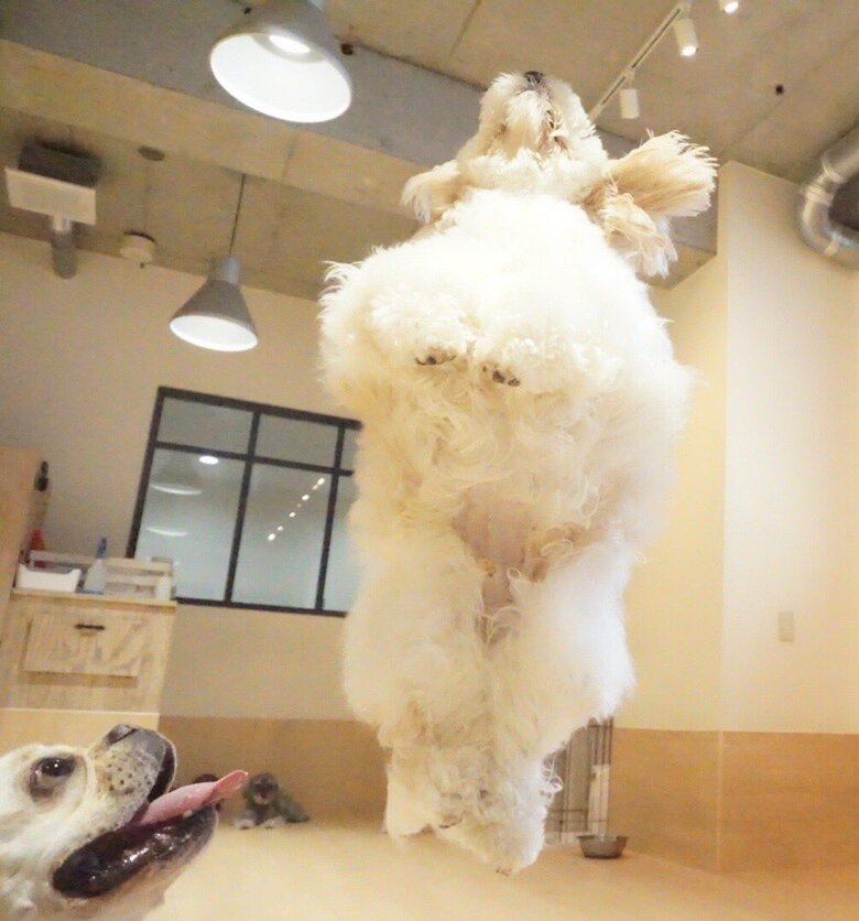 提供：宮原幸恵さん