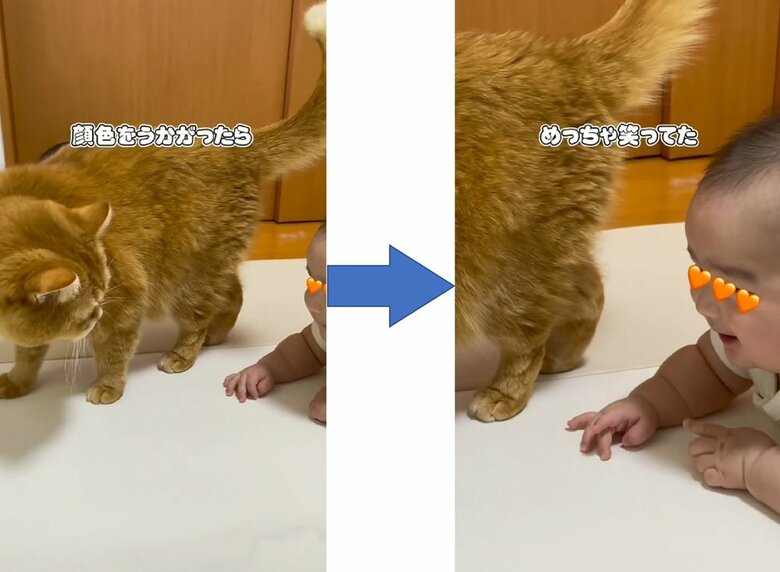機嫌を損ねたかとこまるくんが様子をうかがうと、にっこり笑顔の息子さん
