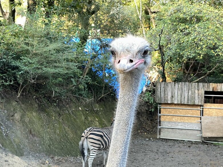 提供：長崎バイオパーク