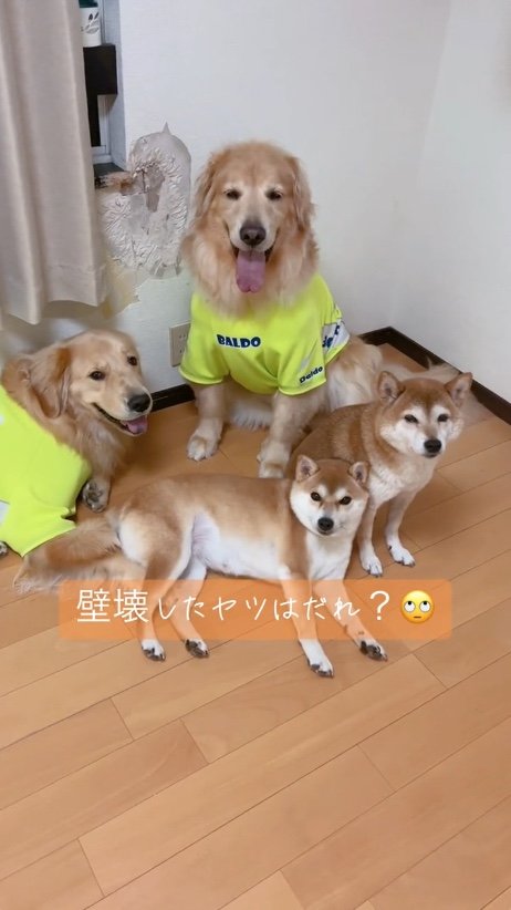 提供：ムックパパさん