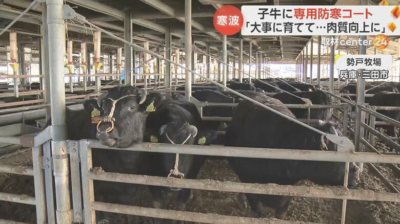 取材班が牧場を訪れると…