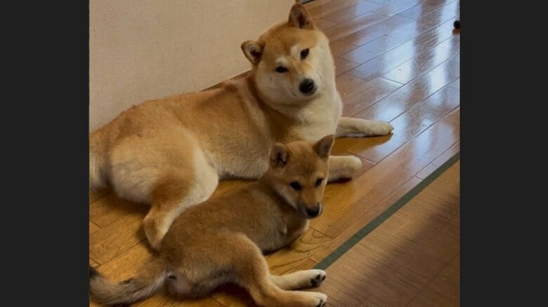 今ではすっかり仲良しに