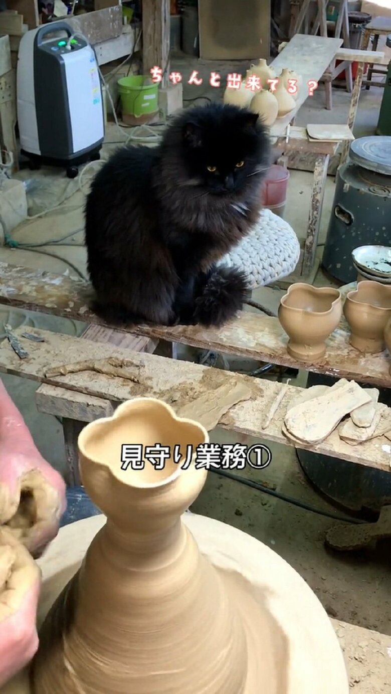 見守り業務開始「ちゃんと出来てる？」