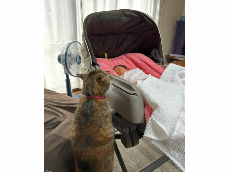 ゆいちゃんが気になる（提供：エルモとみみりんさん）