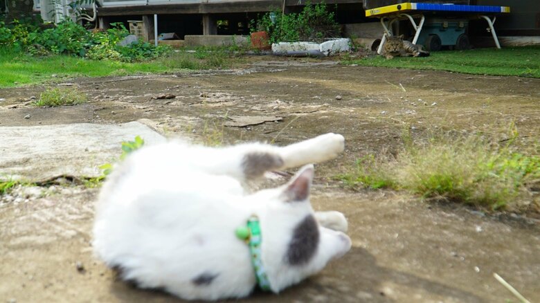 ポン酢くんの視線の先には…