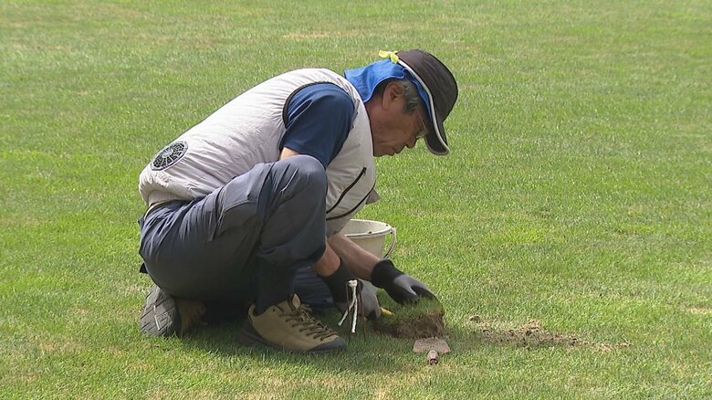 芝の入れ替え作業
