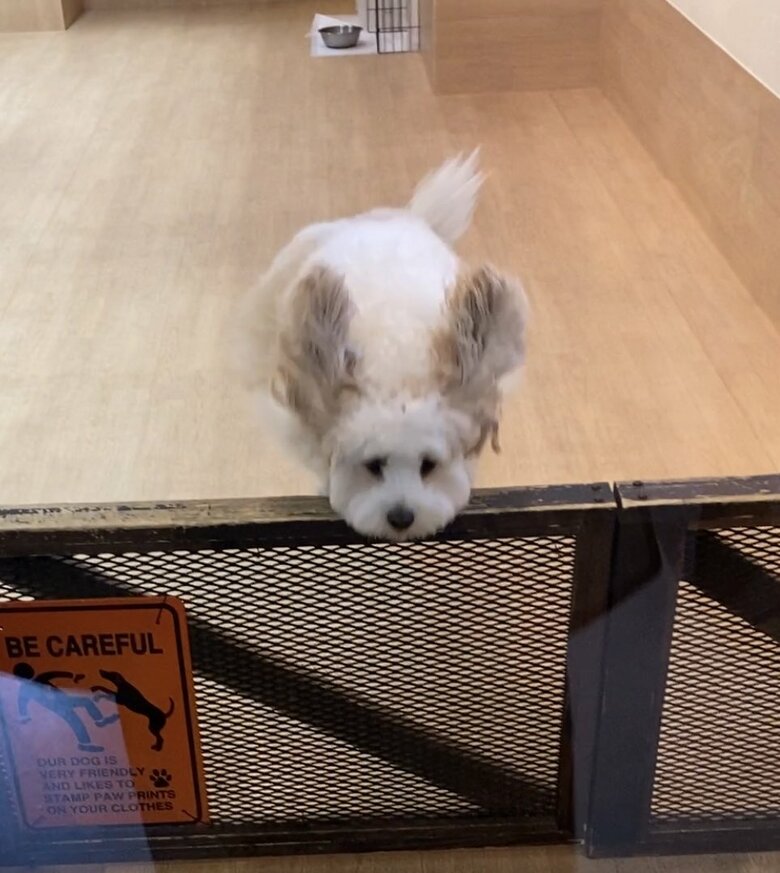 提供：宮原幸恵さん