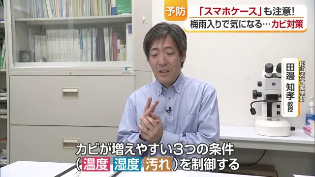 梅雨を気持ちよく乗り切ろう