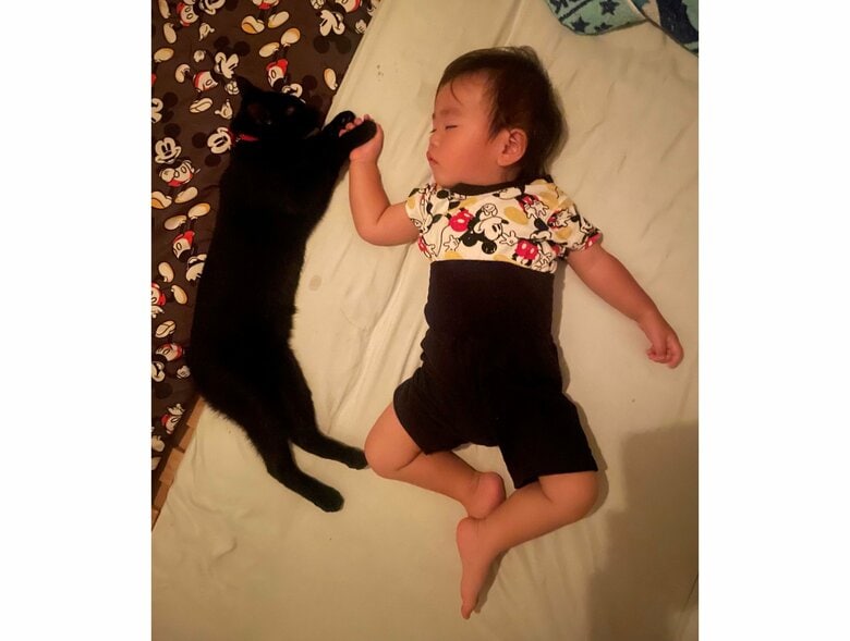 左：ロンくん　右：四男坊くん（提供：ゴンゾウR4さん）