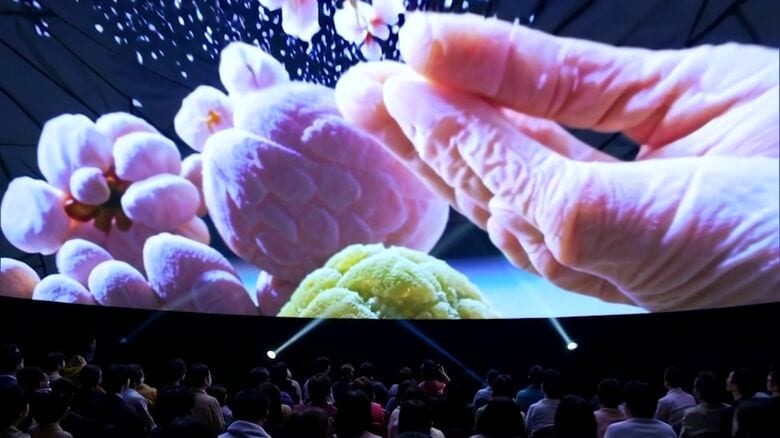 経済効果は約32億円見込み