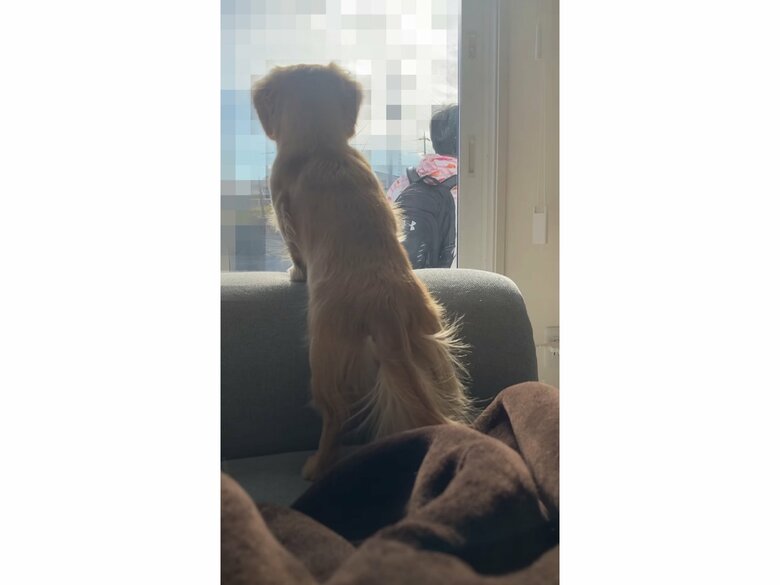 提供：___0516.wanさん