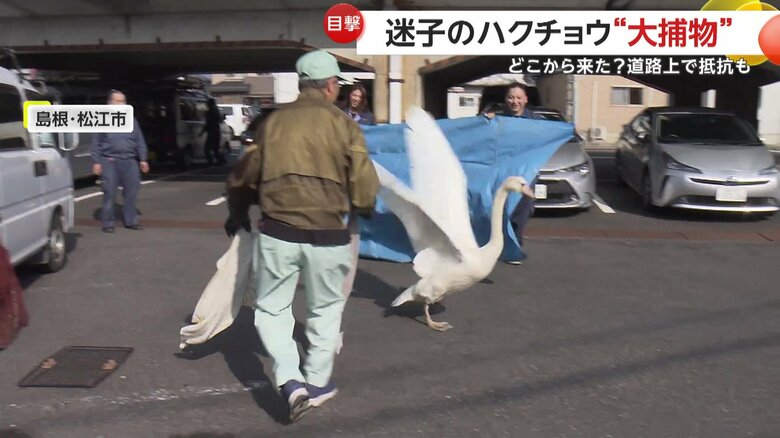 ブルーシート作戦失敗