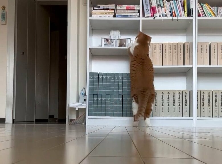 「もっとないかな～」と物色中
