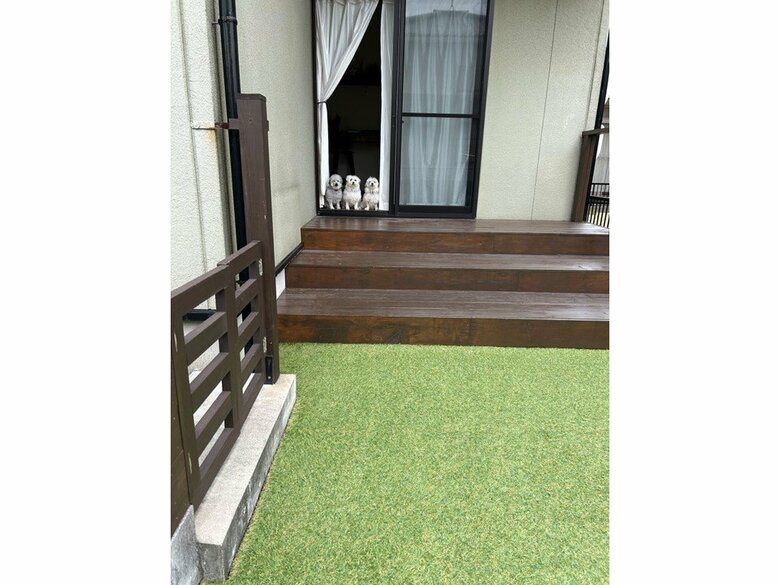 （画像：飼い主さん提供）