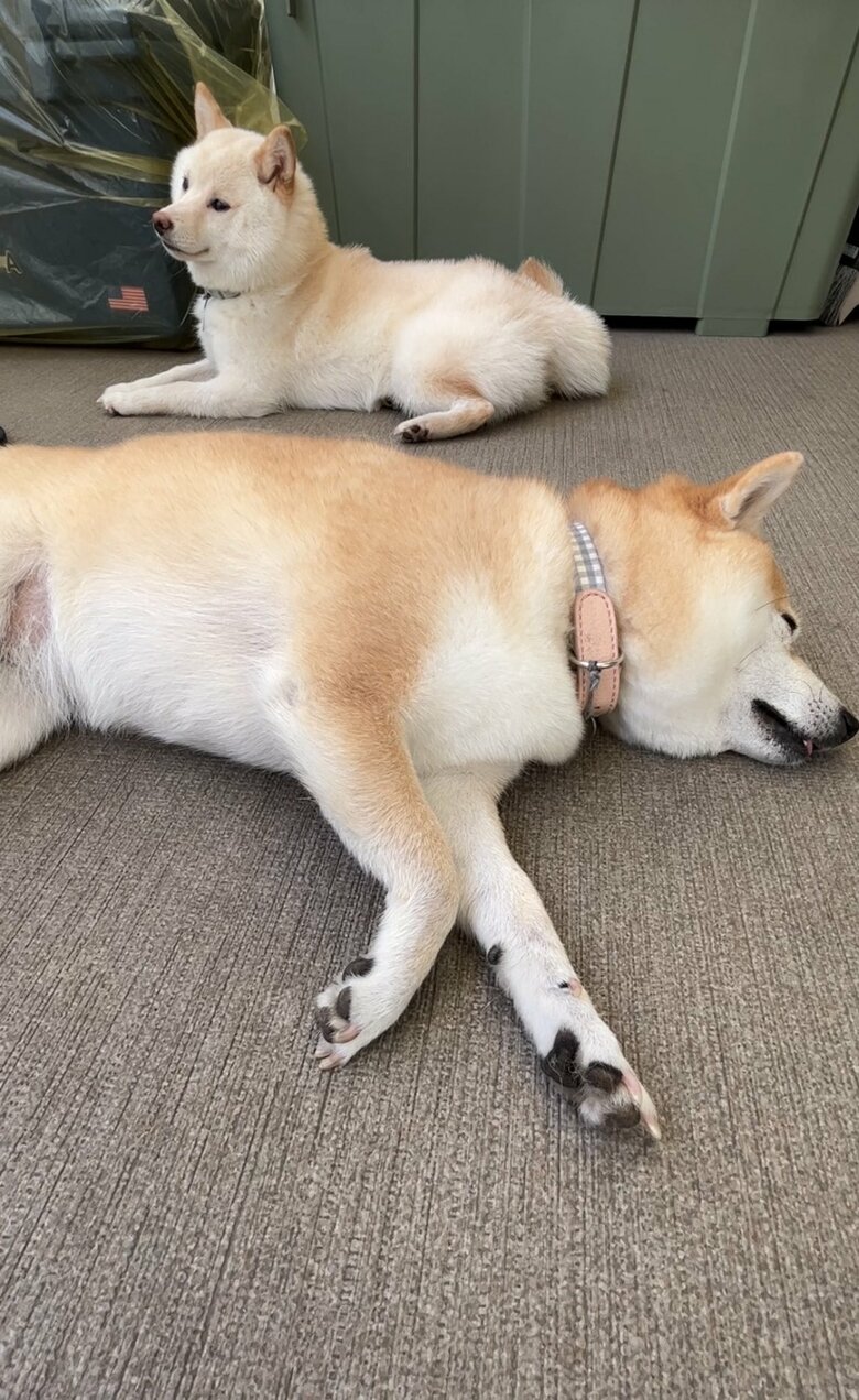 まったり