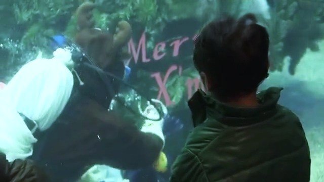 飾り付けを見守る子供