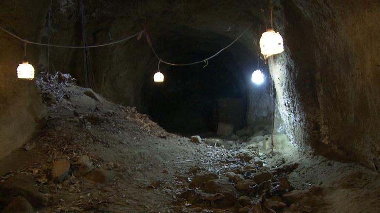 海軍医務科壕　平成31（2019）年3月撮影