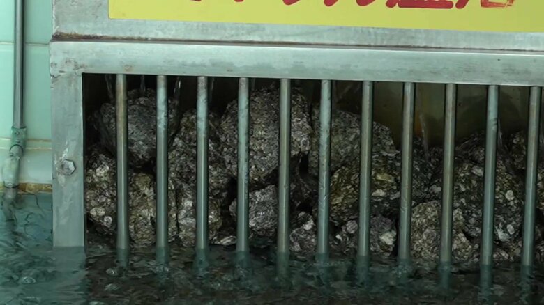 天然ラジウム鉱石がお湯の中に