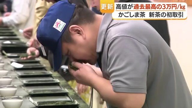 香りや手触り、品質を丁寧に確かめる茶商