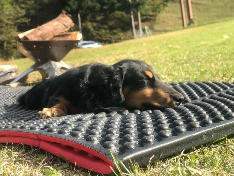 ひなたぼっこ中