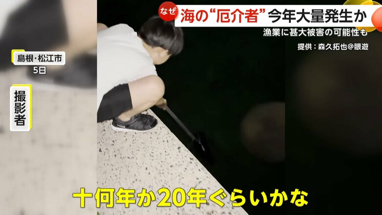 巨大なエチゼンクラゲが撮影された島根・松江市の沿岸部