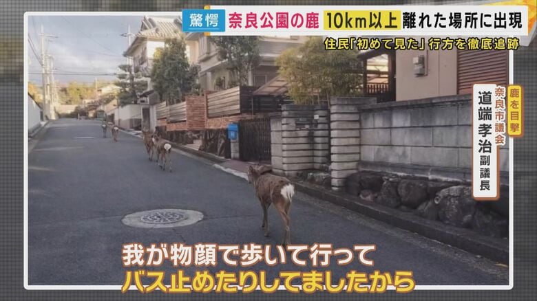 奈良市・帝塚山の住宅街で見つかった鹿