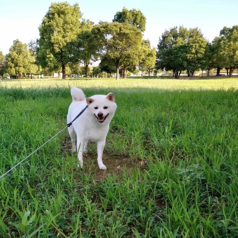 提供： kinako_kinakoさん