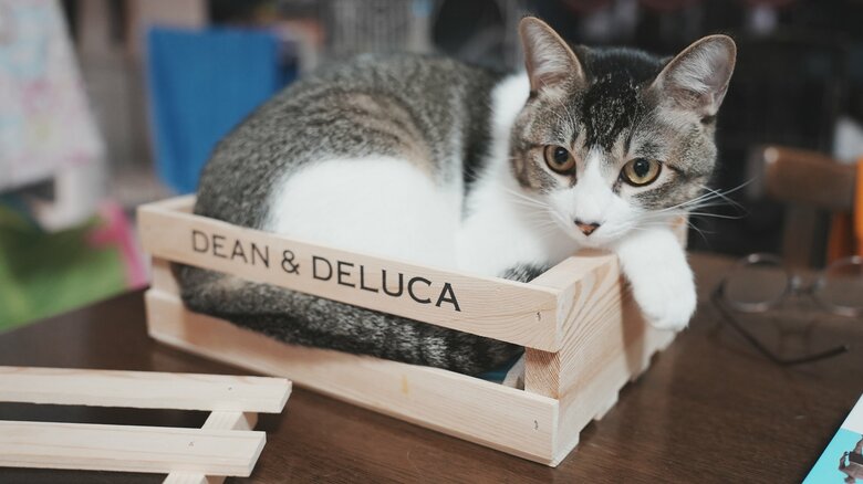 提供：ゆに＆メッシさん